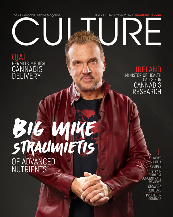 Big-Mike-CULTURE_CoverWeb